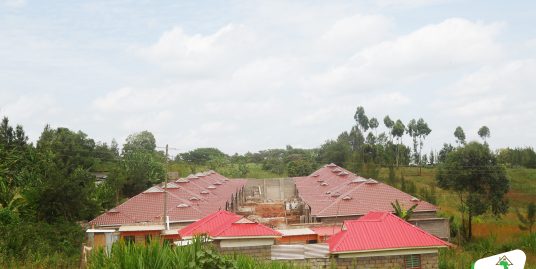 Humming Bird Estate