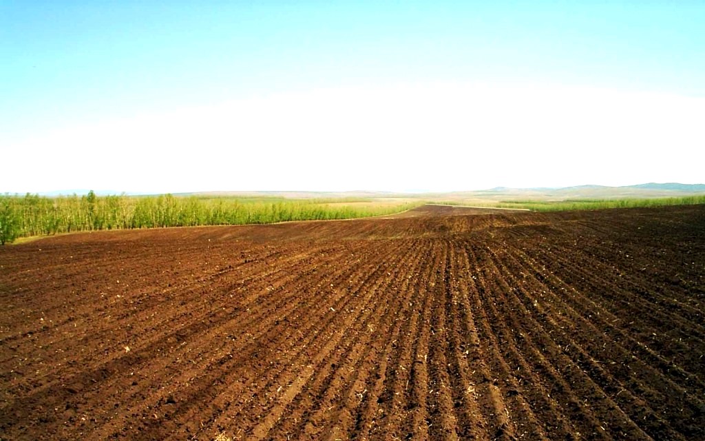 agriculture