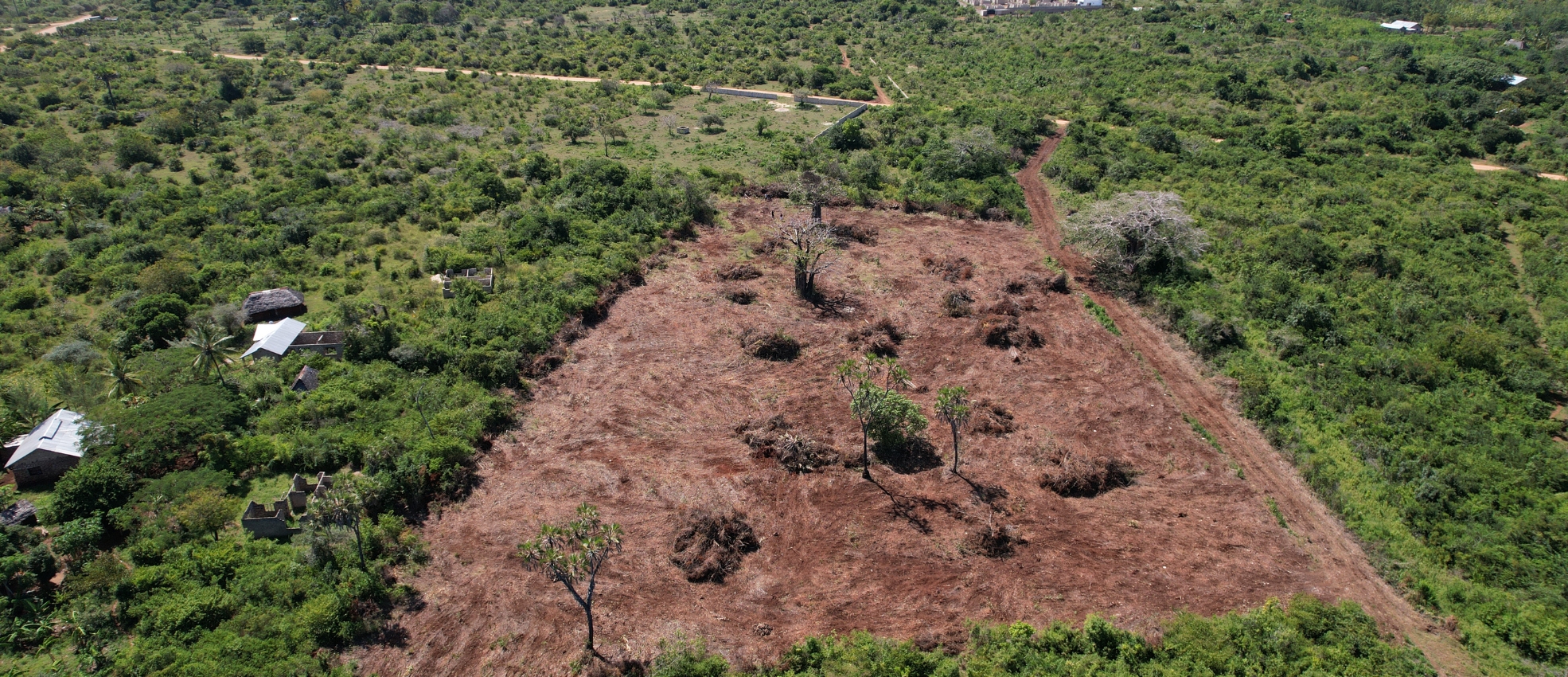 Bill Bright Phase 4 – Diani Plots